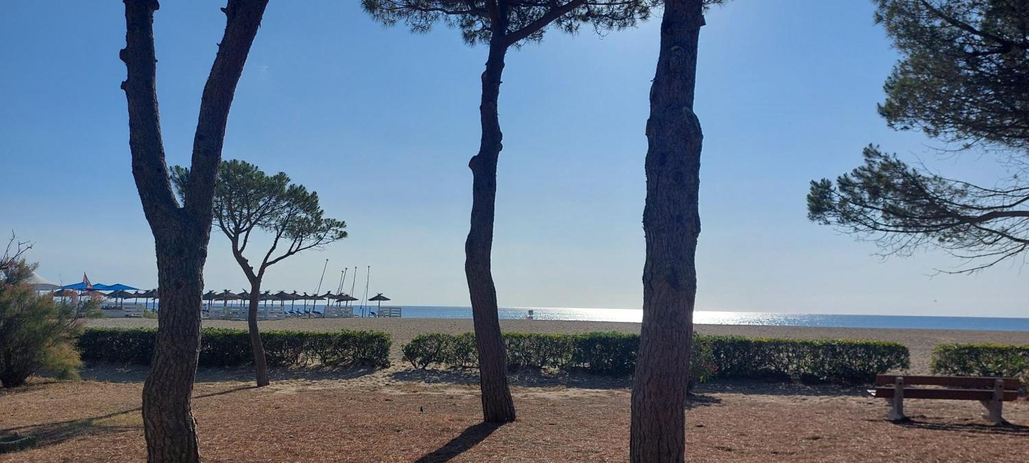 Sur La Plage, Super Studio Avec Vue Sur La Mer Plage dʼArgelès Exterior foto